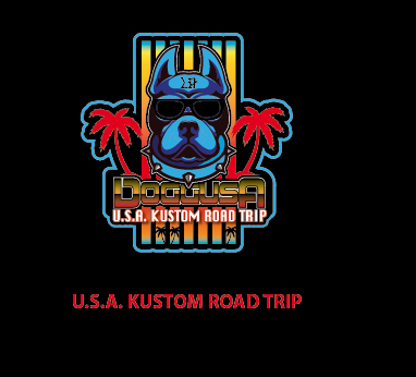 USA custom road trip